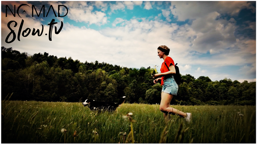 Charlotte Picking Field Flowers - Passing Time - Kevin MacLeod